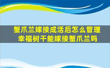 蟹爪兰嫁接成活后怎么管理 幸福树干能嫁接蟹爪兰吗